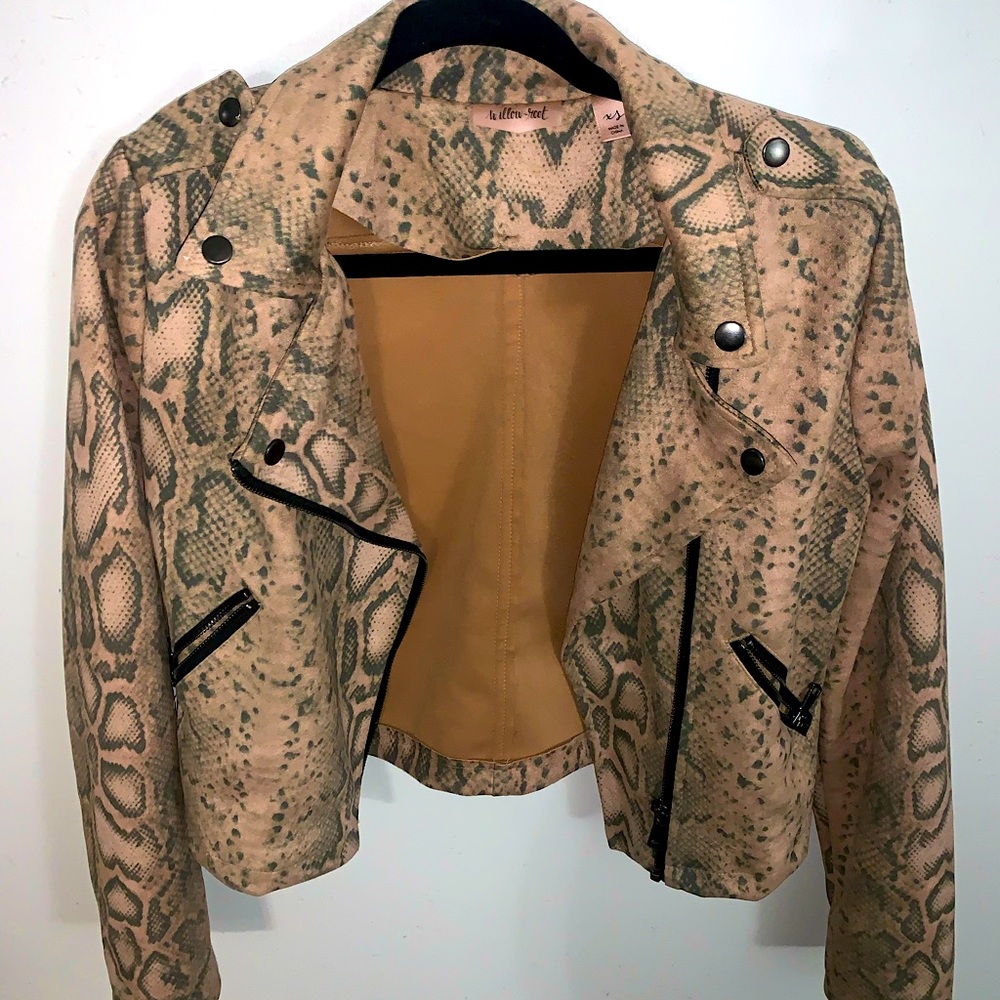 Buckle - Willow & Root | Faux Suede Snake Print Jacket